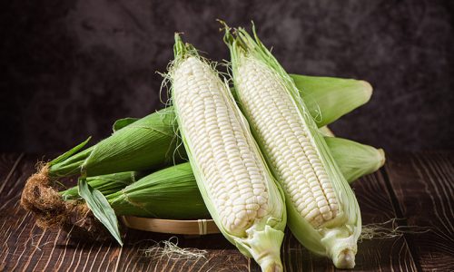 corn corn